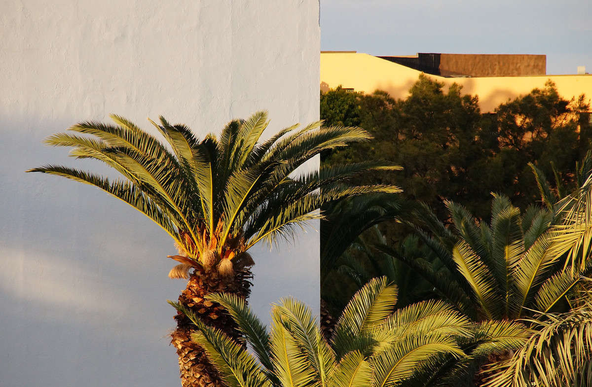 ������ ����� �������  �� PhotoGeek.ru #�����