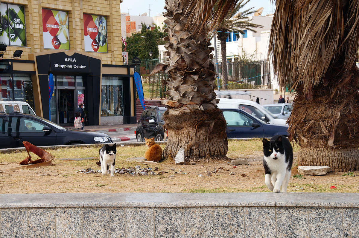 ����� ������� � ���������� ����� �������  �� PhotoGeek.ru #�����