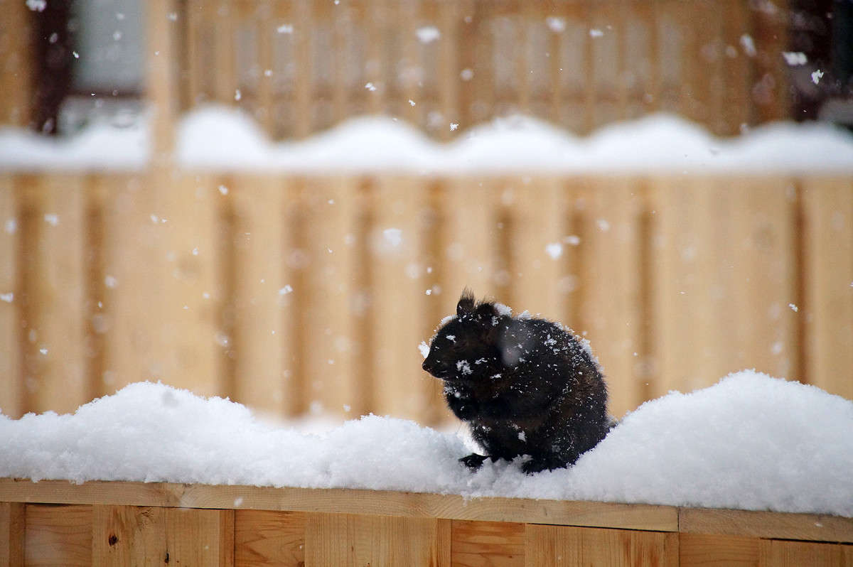 ��������� ���� ����� �������  �� PhotoGeek.ru #�������� ���