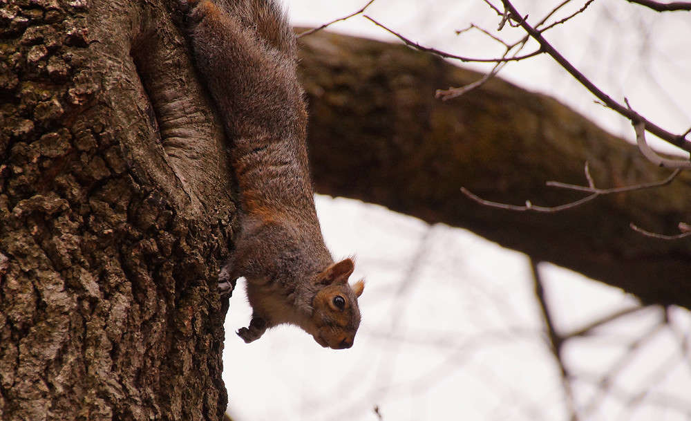 �������� ����� �������  �� PhotoGeek.ru #�������� ���