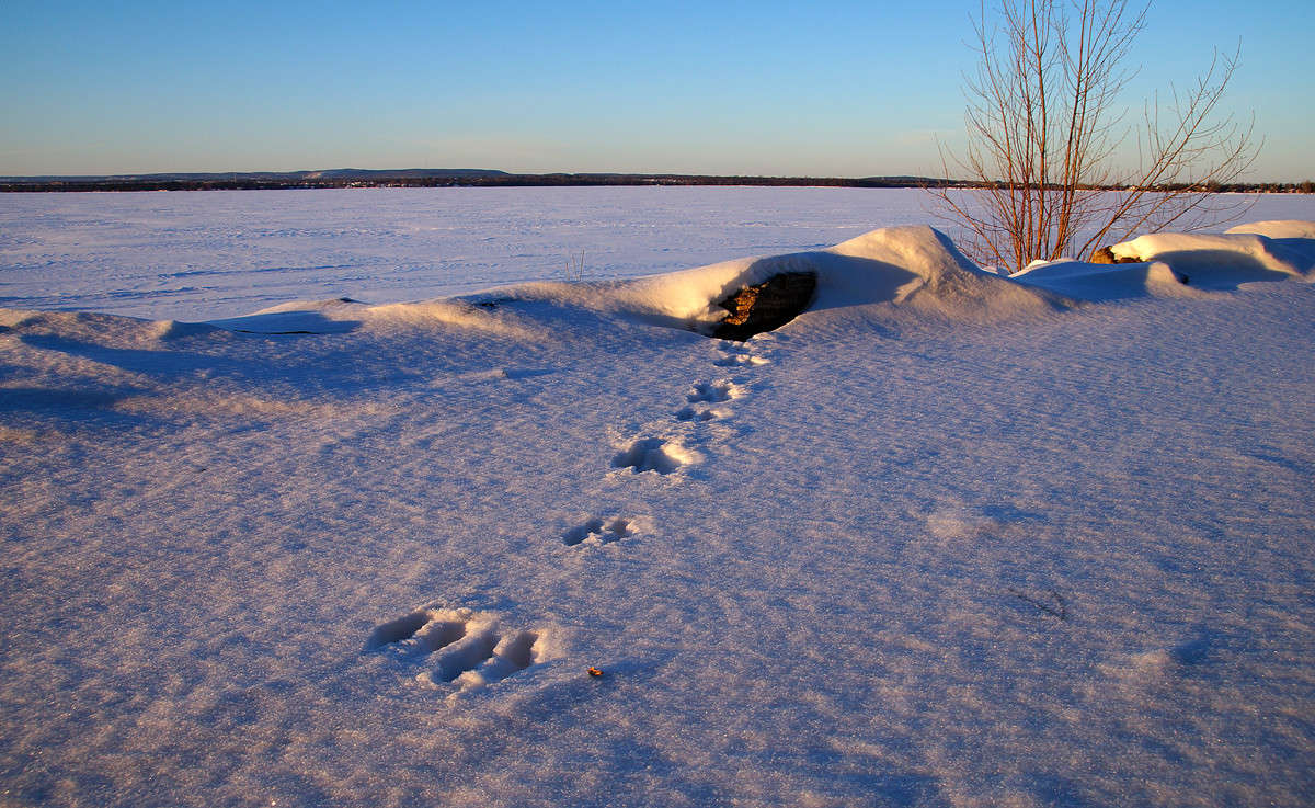 ����� � ���� ����� ����� �������  �� PhotoGeek.ru #�������� ��� #������ ��� �������