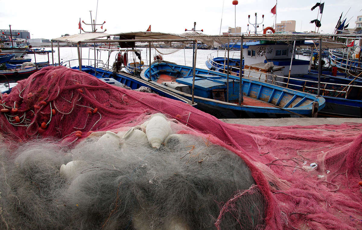 ����� ��� ��������� ����� �������  �� PhotoGeek.ru #�����