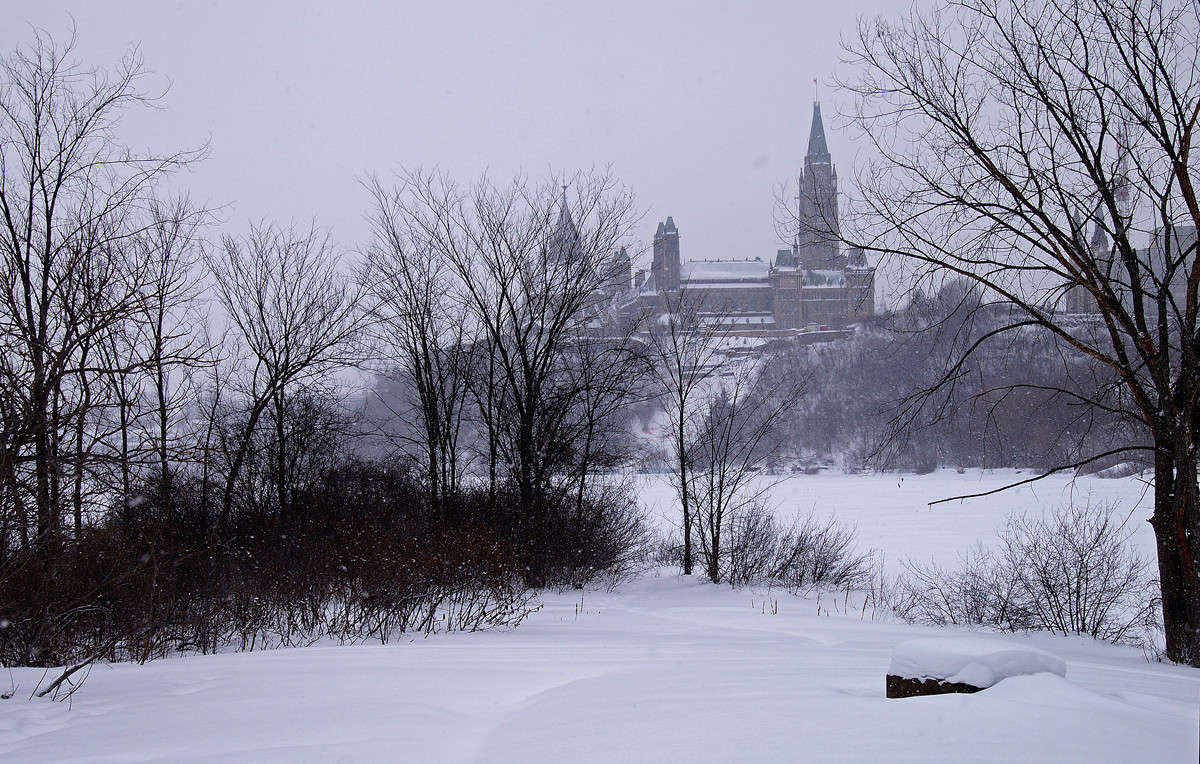 ����������� � ���� ����� �������  �� PhotoGeek.ru #�����