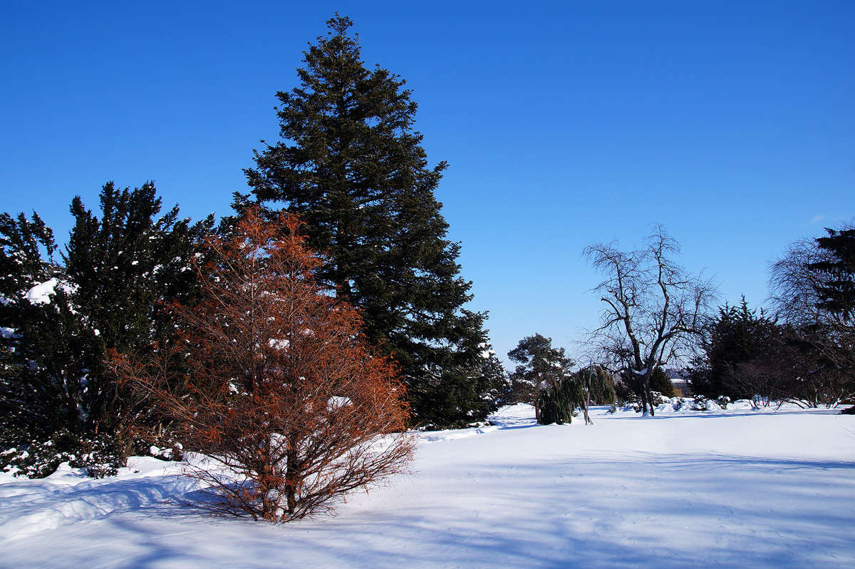 �������� ����� �������  �� PhotoGeek.ru #������ ��� �������