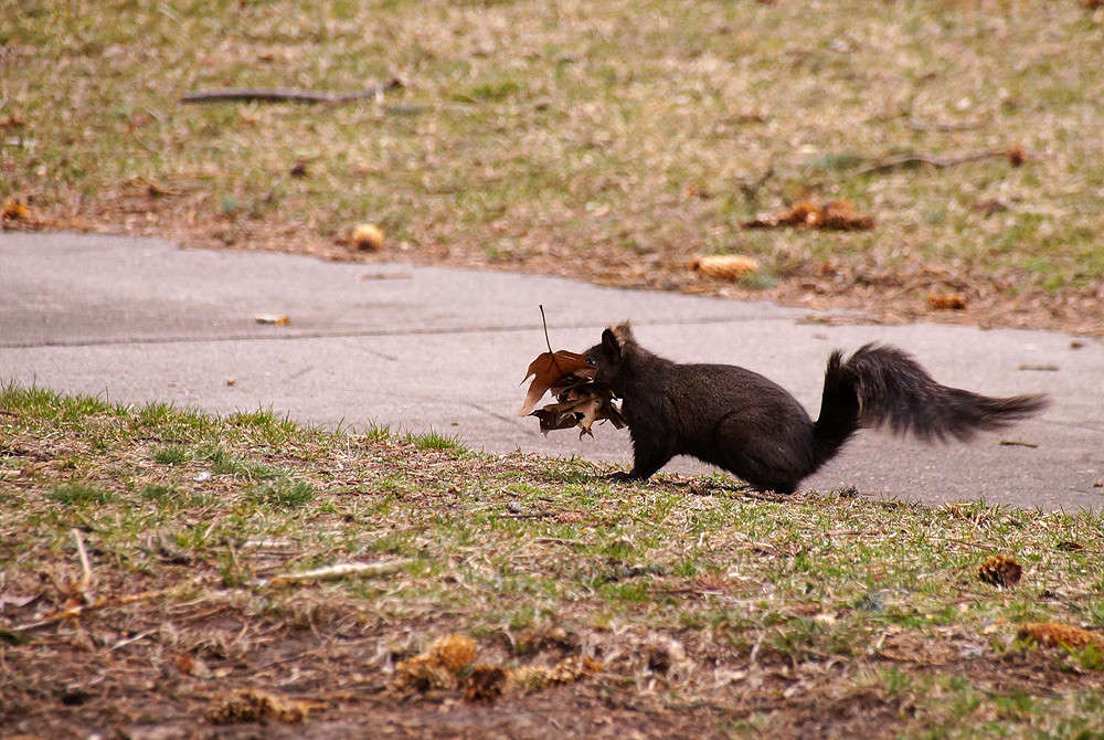 ������ ������ ��� ���� ����� �������  �� PhotoGeek.ru #�������� ���