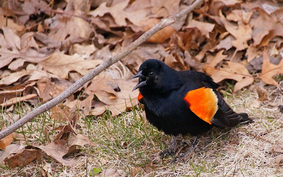 ����� ������� ����� �������  �� PhotoGeek.ru #�������� ���