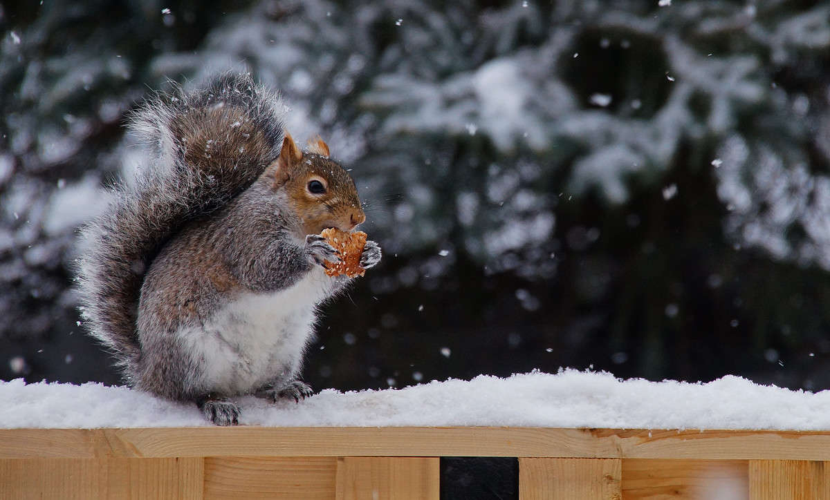 �� �� ��? ����� �������  �� PhotoGeek.ru #�������� ���