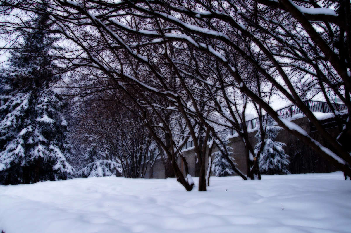 � �� ������ ���� �� ��� ����� �������  �� PhotoGeek.ru #�����