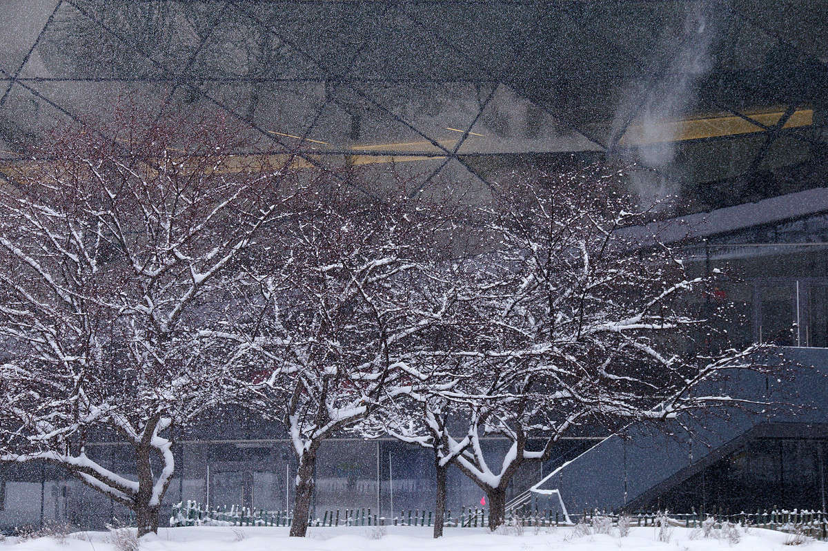 ����� ������ ����� �������  �� PhotoGeek.ru #�����