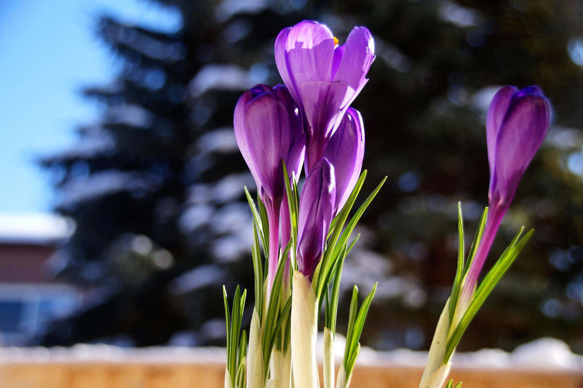 ������������� ����� ����� �������  �� PhotoGeek.ru #������ ��� �������