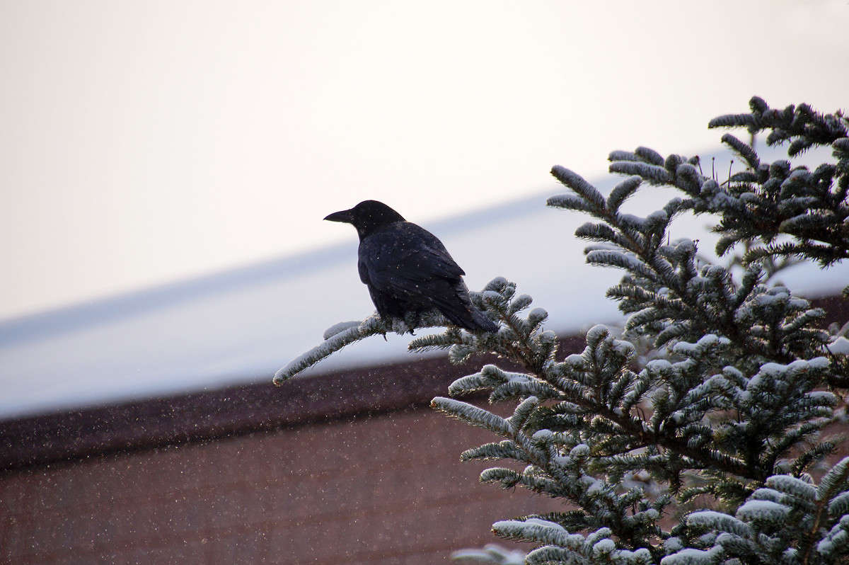 ������ ����� �������  �� PhotoGeek.ru #�������� ���