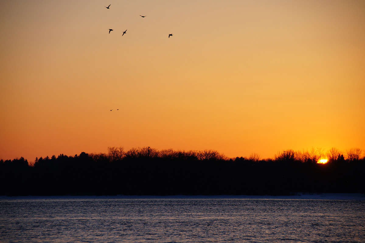 ������ �� ����� �������  �� PhotoGeek.ru #������ ��� �������