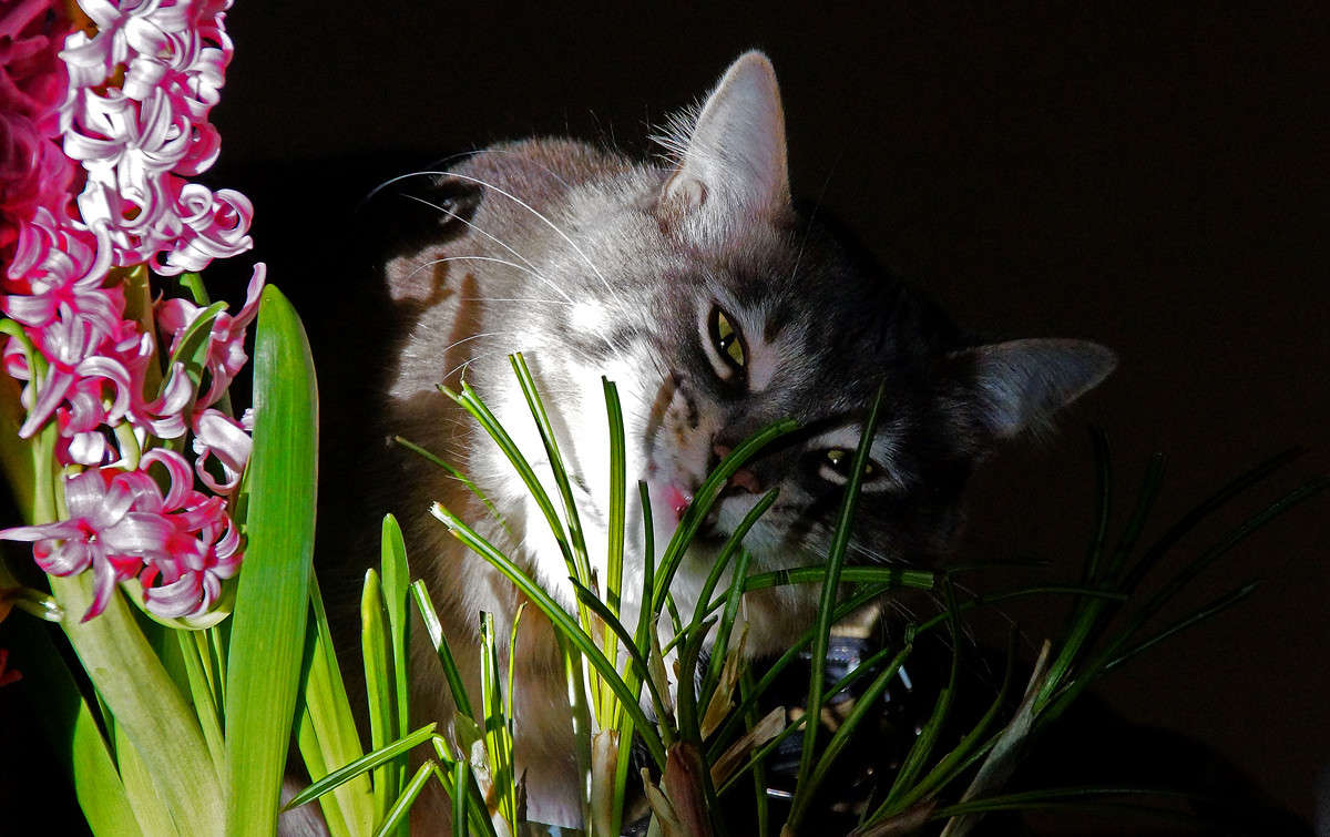 �� ����� �������� ���� �� ����� �������  �� PhotoGeek.ru #�������� ���