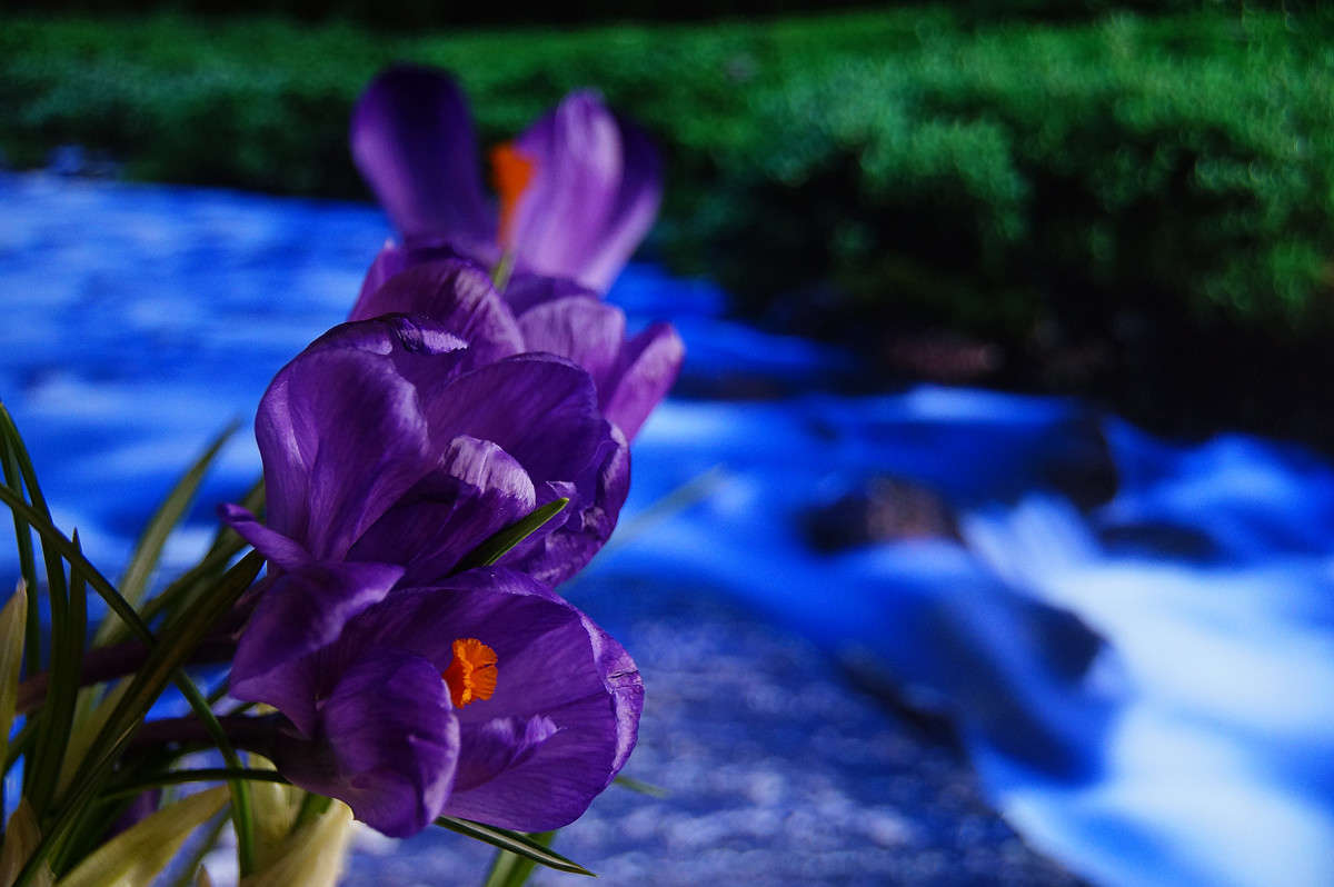 � ����������! ����� �������  �� PhotoGeek.ru #������ ��� �������