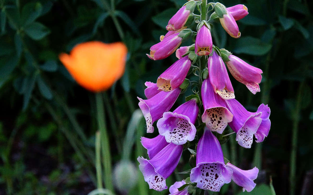 � ����������! ����� �������  �� PhotoGeek.ru #�������� ����������