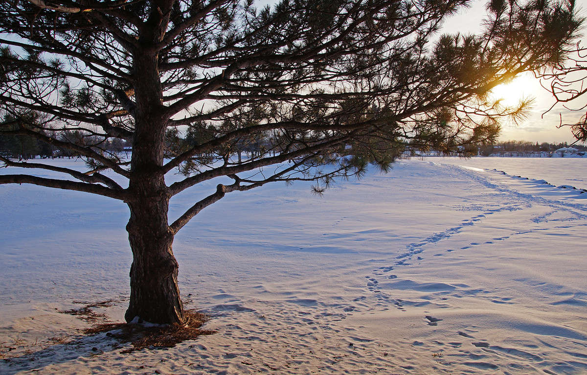 ��������-���������� ����� �������  �� PhotoGeek.ru #������ ��� �������