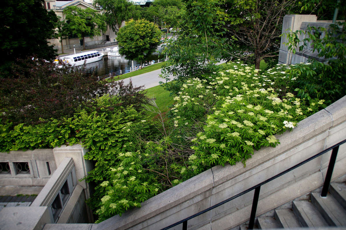 ��� ������� �� �����! ����� �������  �� PhotoGeek.ru #�����