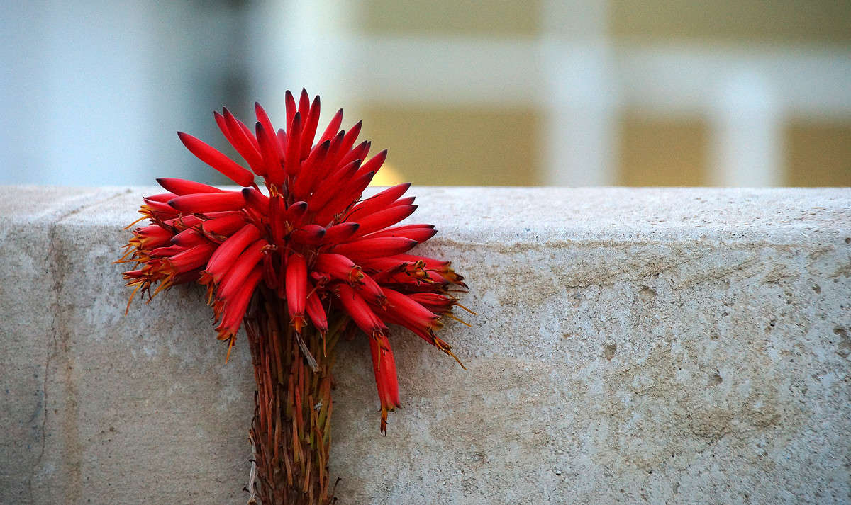 ��� ����� �������� ����� �������  �� PhotoGeek.ru #�����