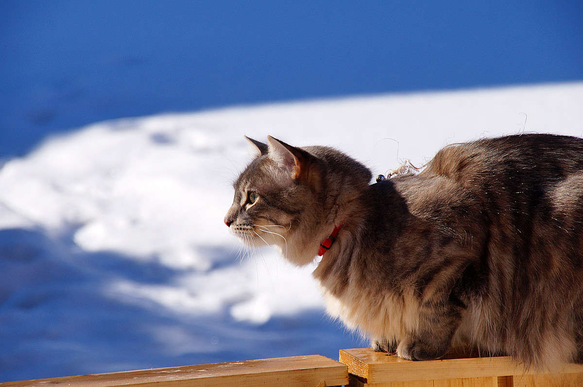 ���� �� �� ����� �������  �� PhotoGeek.ru #�������� ���