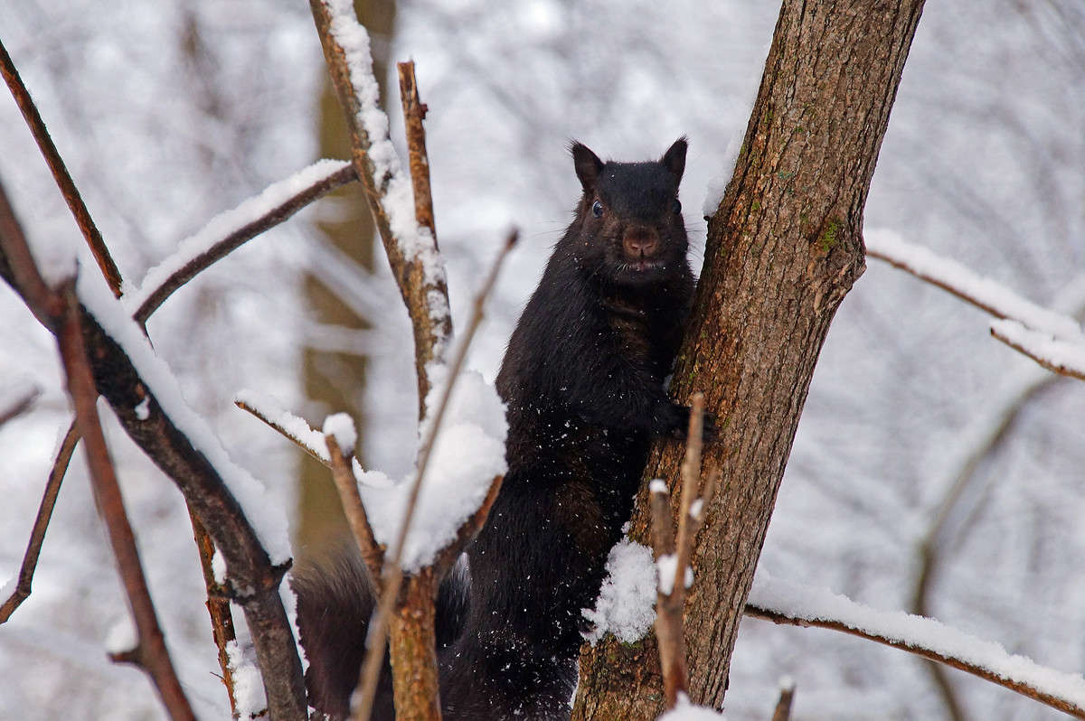 �� ����� ����� �������  �� PhotoGeek.ru #�������� ���