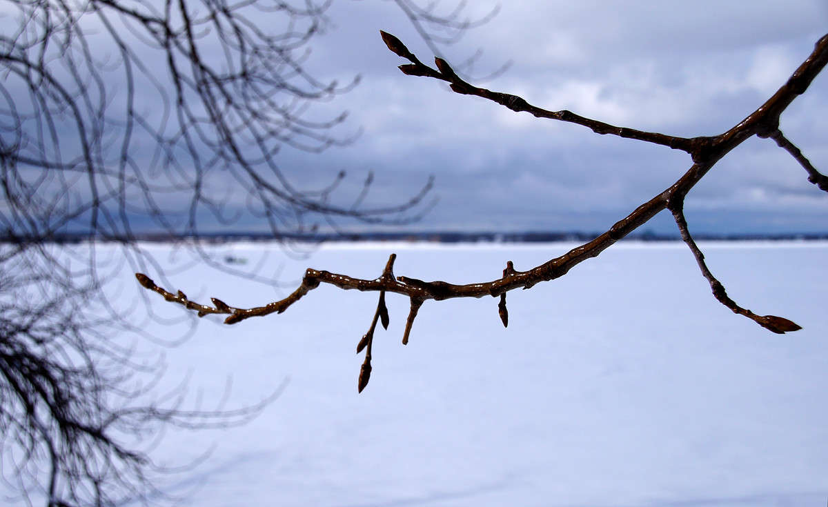 �� ����� �� �� ����? ����� �������  �� PhotoGeek.ru #������ ��� �������