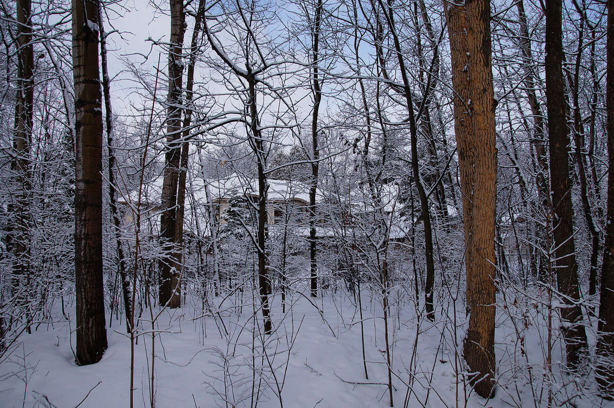 ����� �� ����� ����� �������  �� PhotoGeek.ru #������ ��� �������
