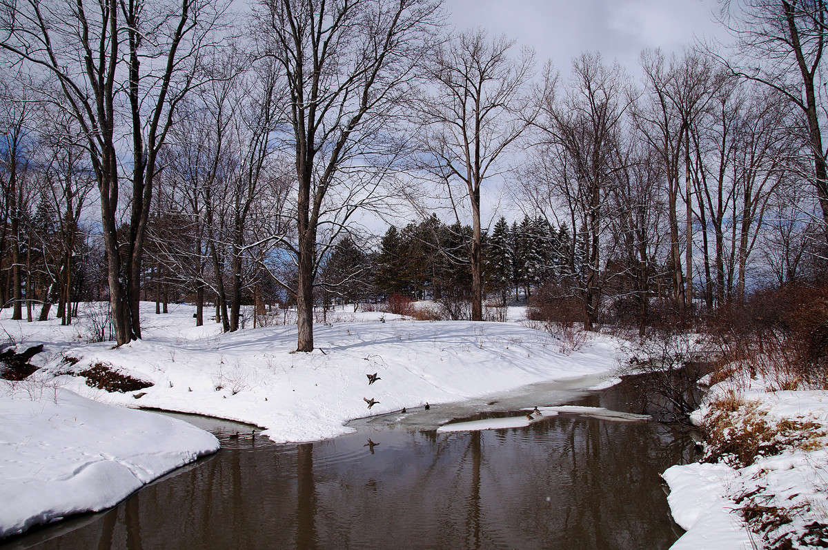 ��������� �� ����� ���� ����� �������  �� PhotoGeek.ru #�������� ���