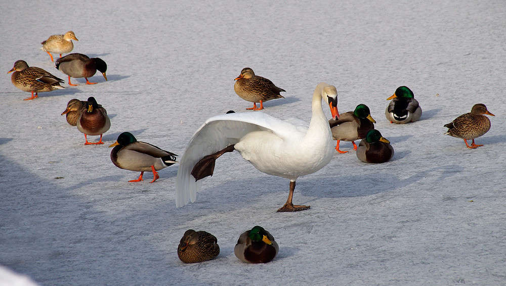 ������������� ������� ����� �������  �� PhotoGeek.ru #�������� ���