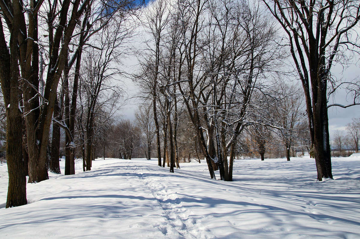 ������ ������ ������ ����� �������  �� PhotoGeek.ru #������ ��� �������
