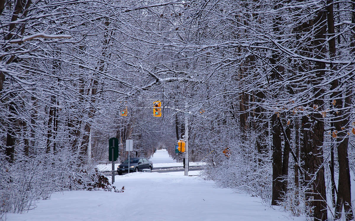 ����������� ����� �������  �� PhotoGeek.ru #�����