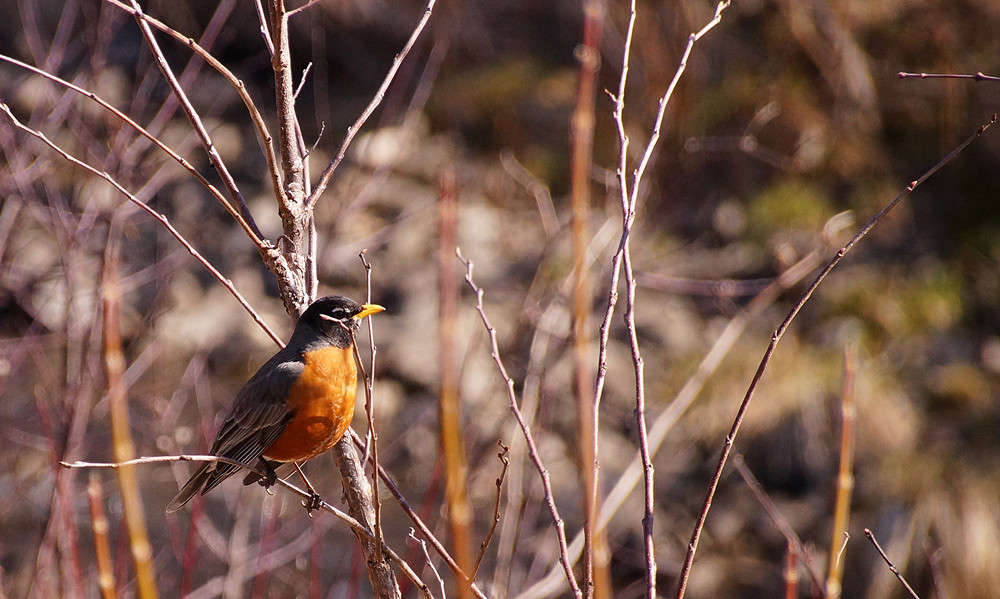 ���������� ����� �������  �� PhotoGeek.ru #�������� ���