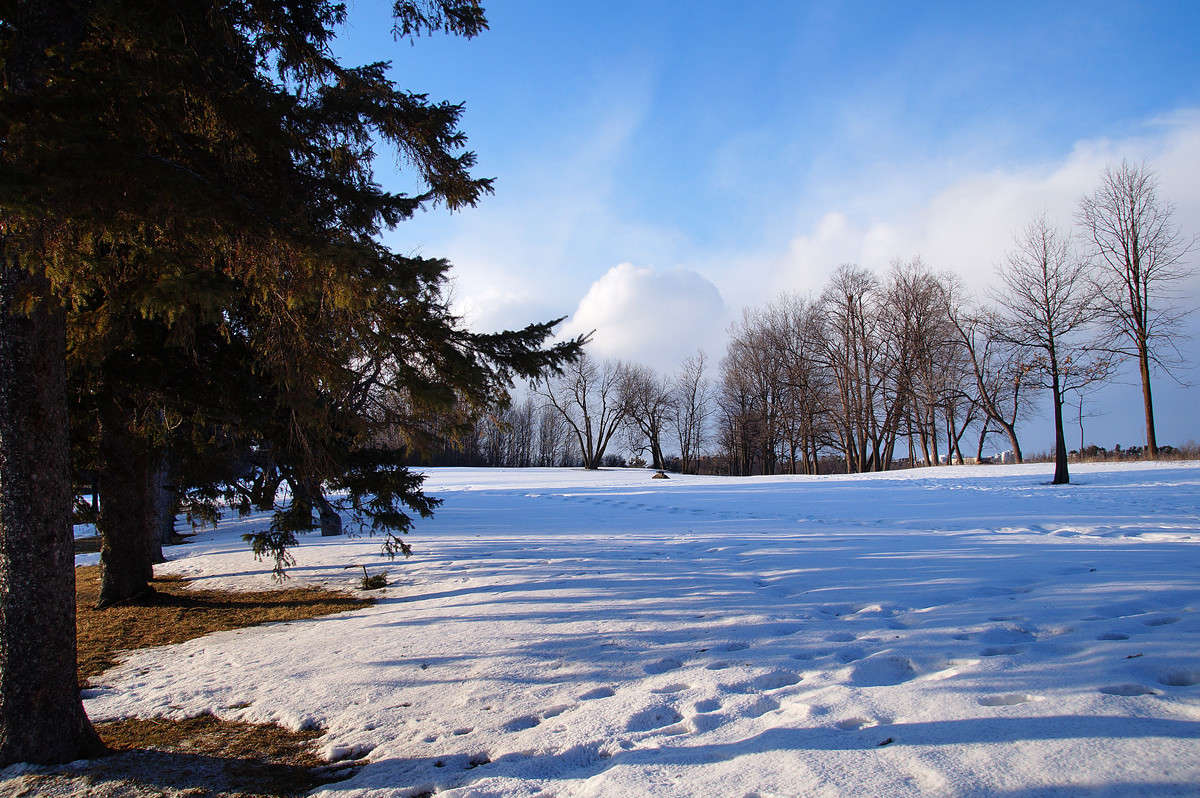 ����� ���� �� ����� ����� �������  �� PhotoGeek.ru #������ ��� �������