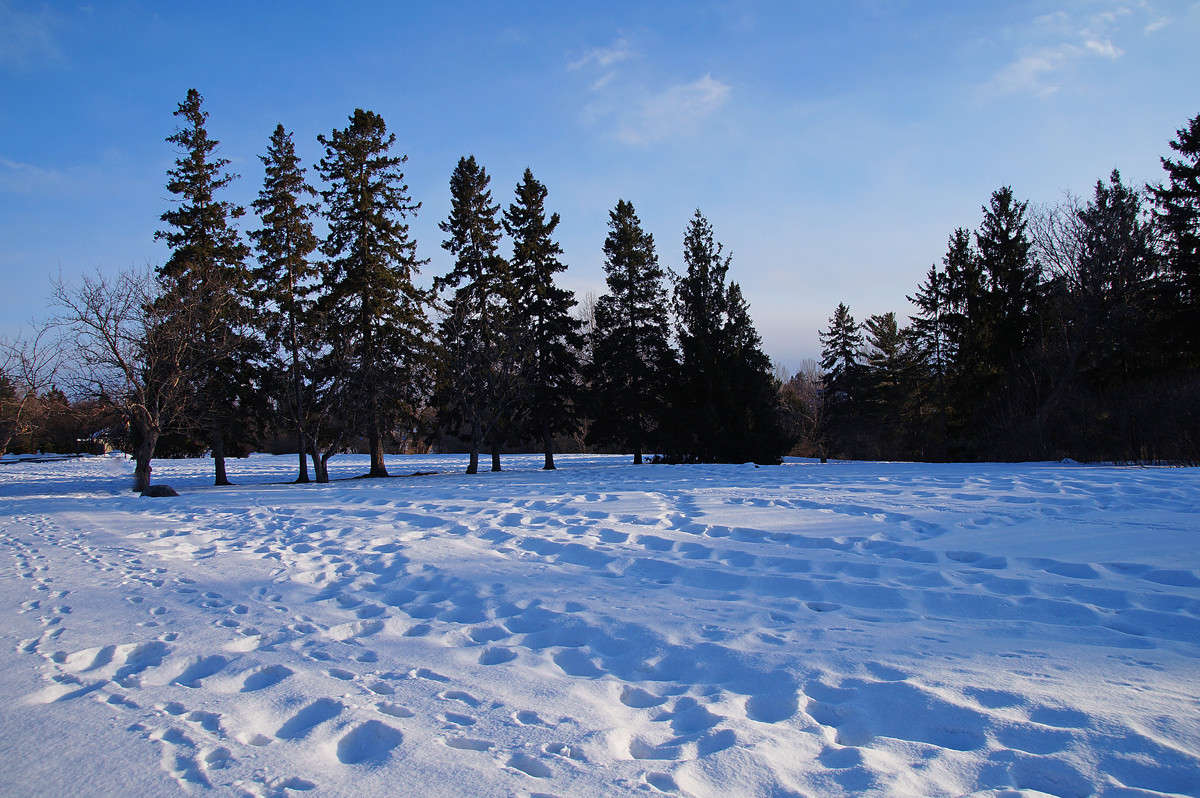 ��������� ���... ����� �������  �� PhotoGeek.ru #������ ��� �������
