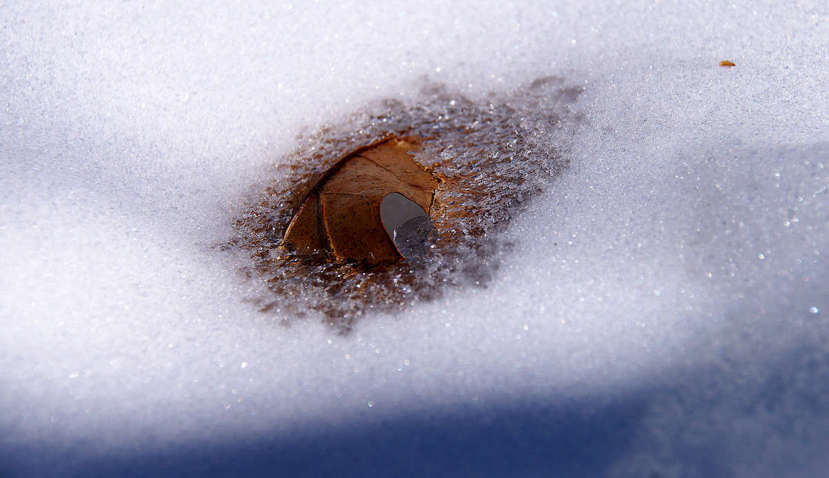����������� ����� �������  �� PhotoGeek.ru #�������� ����������