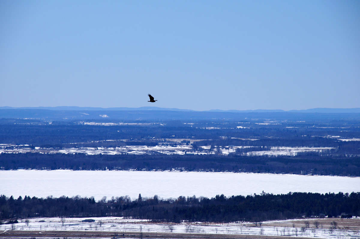 ��� ������� ����� �������  �� PhotoGeek.ru #�������� ���