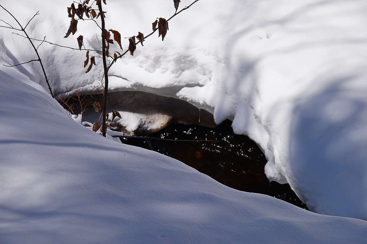 �������� ����� �������  �� PhotoGeek.ru #������ ��� �������