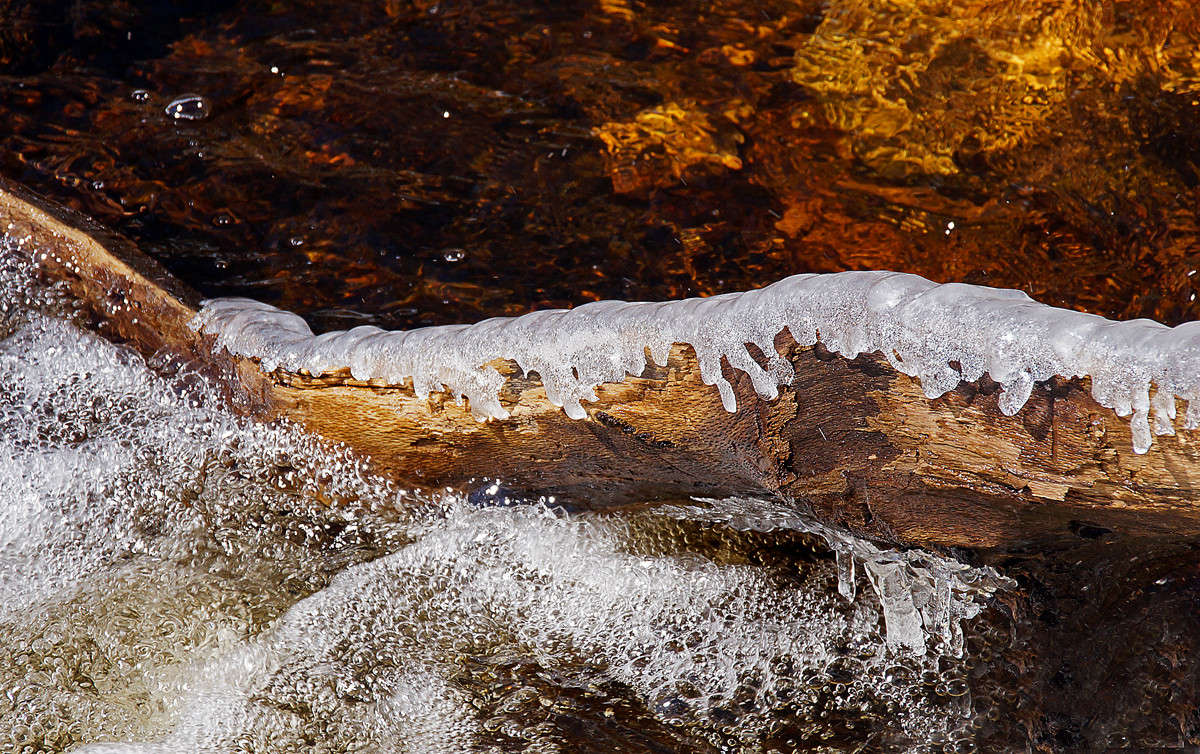 ���������� ������ ����� ����� �������  �� PhotoGeek.ru #������ ��� �������