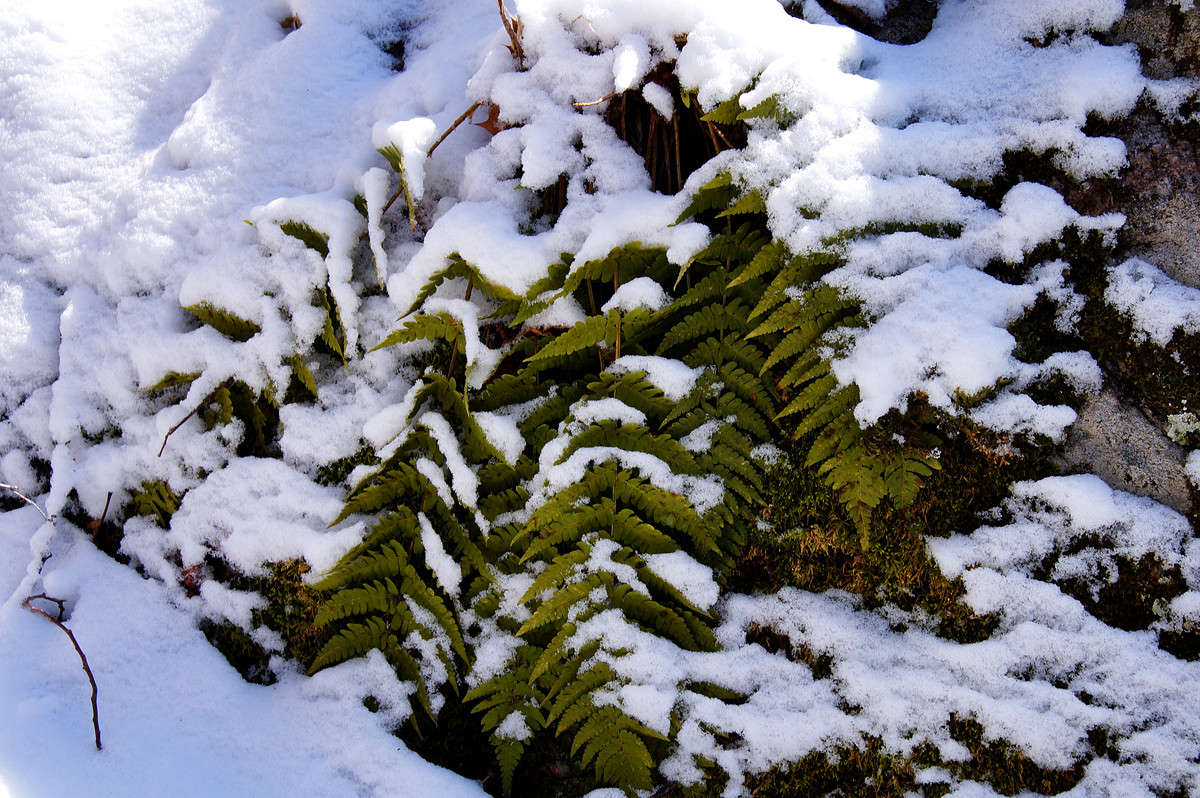 ������ ����� �������  �� PhotoGeek.ru #������ ��� �������