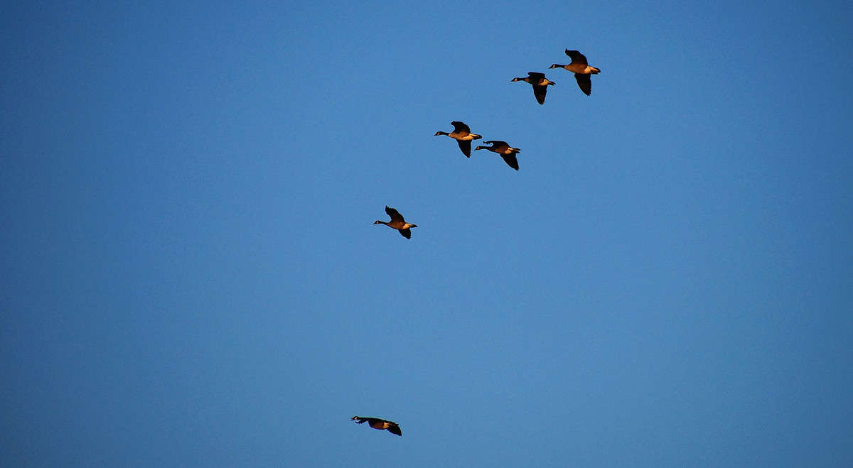 ����� ����� ����� ����� ����� �������  �� PhotoGeek.ru #�������� ���