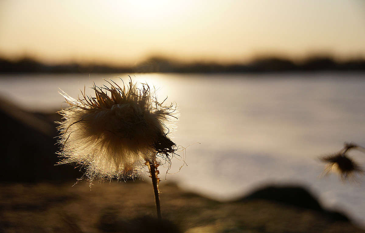 ������ ����� �������  �� PhotoGeek.ru #������ ��� �������
