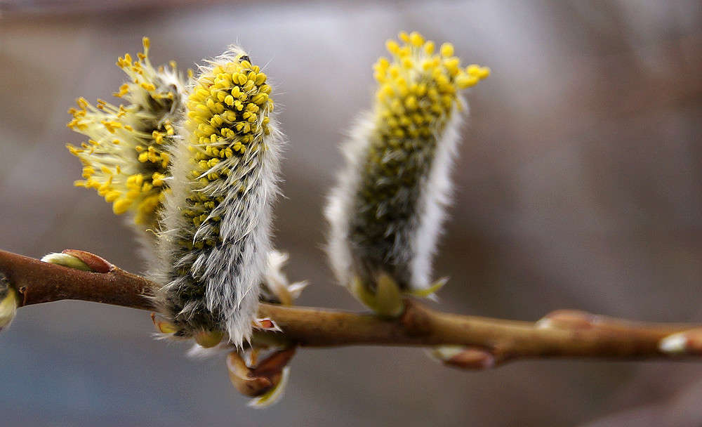 �����������. ���� � �������. ����� �������  �� PhotoGeek.ru #������ ��� �������