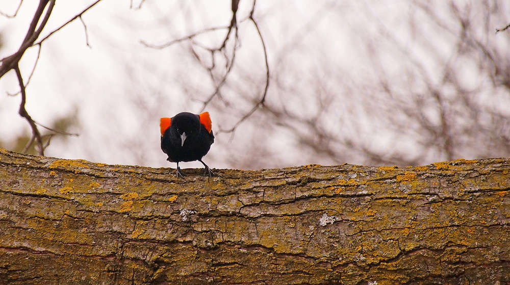 ����� �� �������� ����� �������  �� PhotoGeek.ru #�������� ���