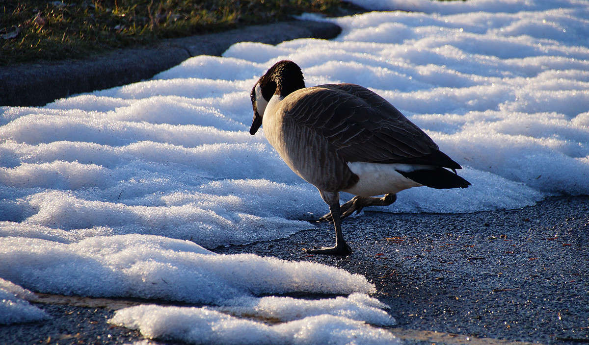 ���� ������ ����� �������  �� PhotoGeek.ru #�������� ���