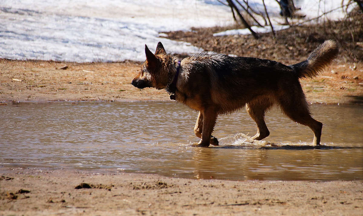 ...����� ����� ����� �������  �� PhotoGeek.ru #�������� ���