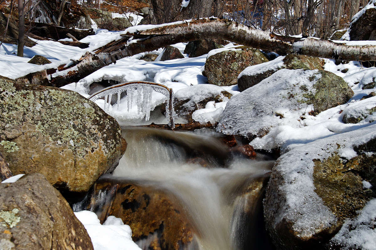 ������� ����� ����� �������  �� PhotoGeek.ru #������ ��� �������