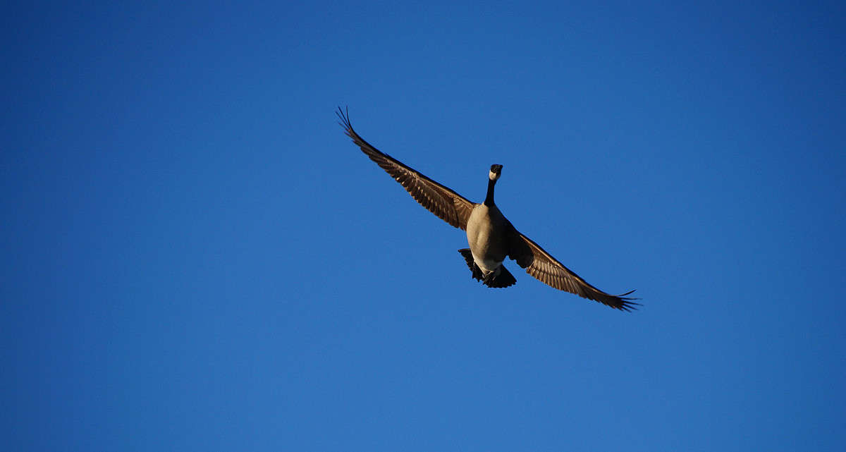 ���� ���� ���� ������ ����� �������  �� PhotoGeek.ru #�������� ���