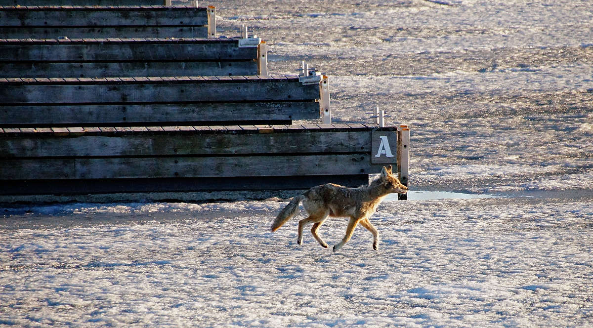 ������� ����� ����� �������  �� PhotoGeek.ru #�������� ���