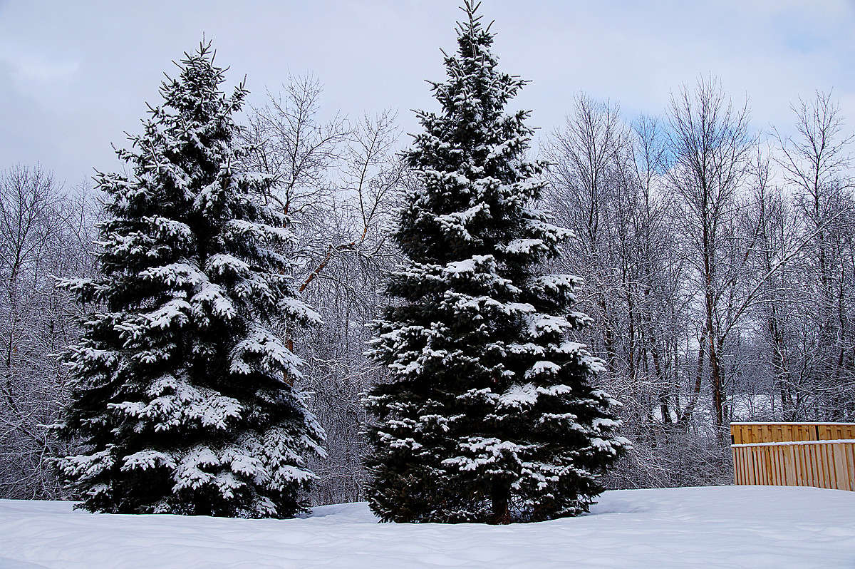 ��� ������ ����� �������  �� PhotoGeek.ru #�����