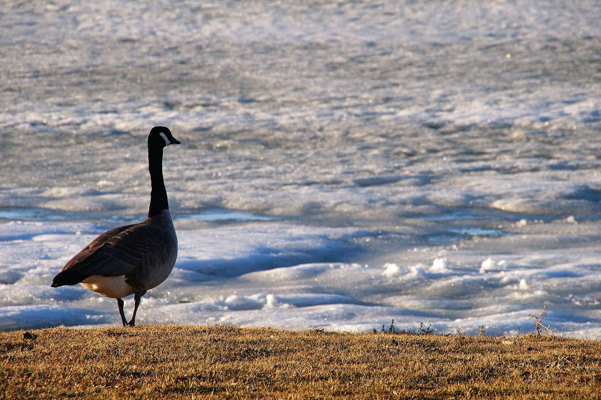 �������� �������� ����� �������  �� PhotoGeek.ru #�������� ���