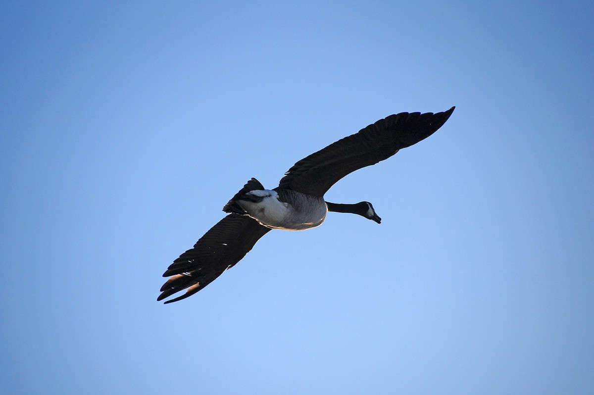 ������� ������� ����� �������  �� PhotoGeek.ru #�������� ���